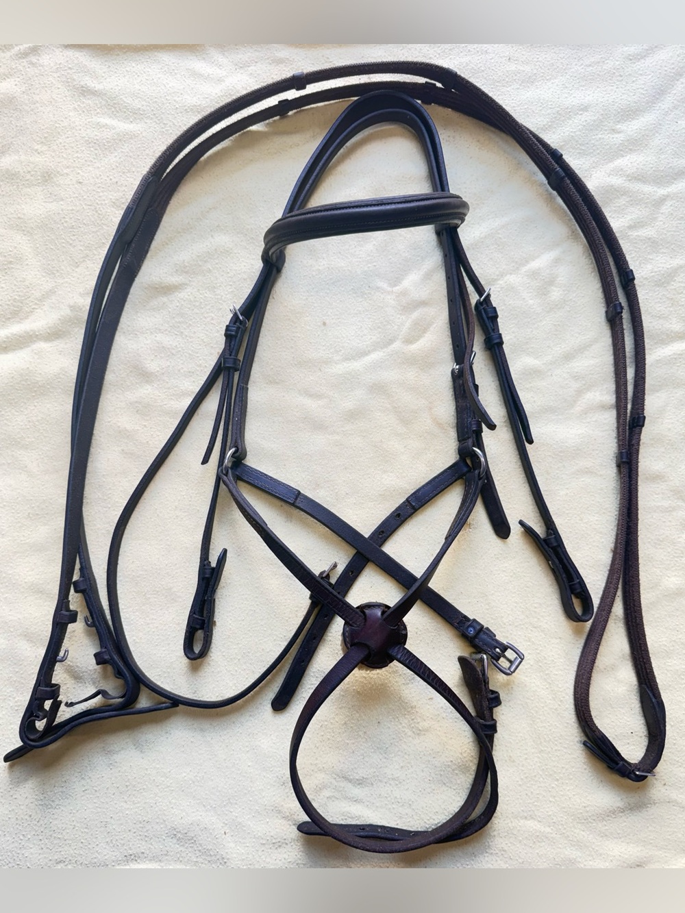 Horse sized figure 8 and reins